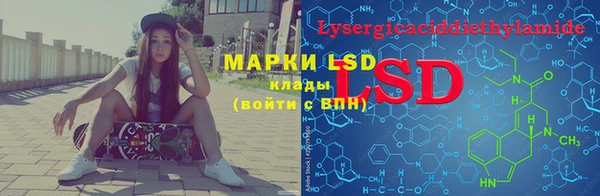мяу мяу мука Елизово
