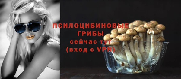 мяу мяу мука Елизово