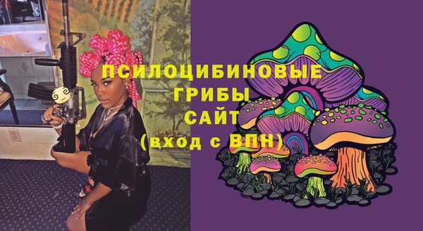 не бодяженный Ельня