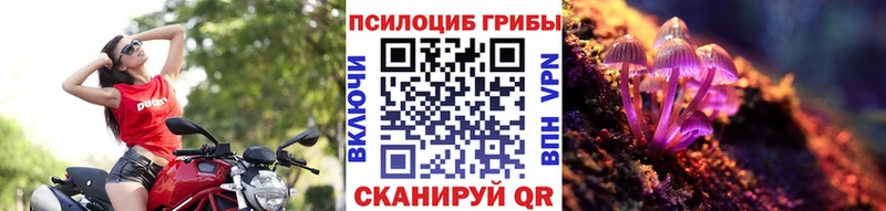 Галлюциногенные грибы Psilocybe кракен ТОР Камешково